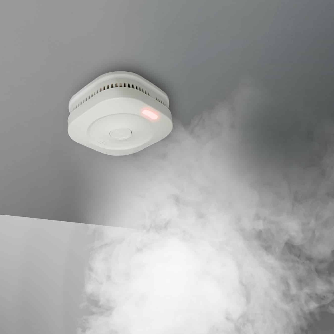 Koop Alecto Smart Smoke 11 - Slimme WiFi rookmelder