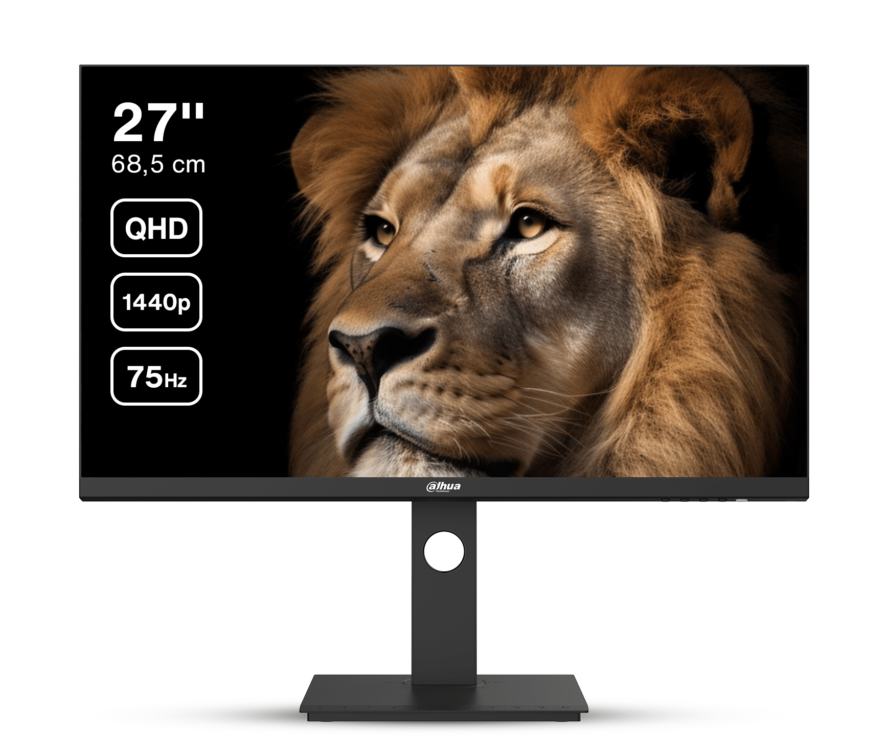 Dahua LM27-P301A - 27 Inch QHD IPS Monitor - 75 Hz - USB-C