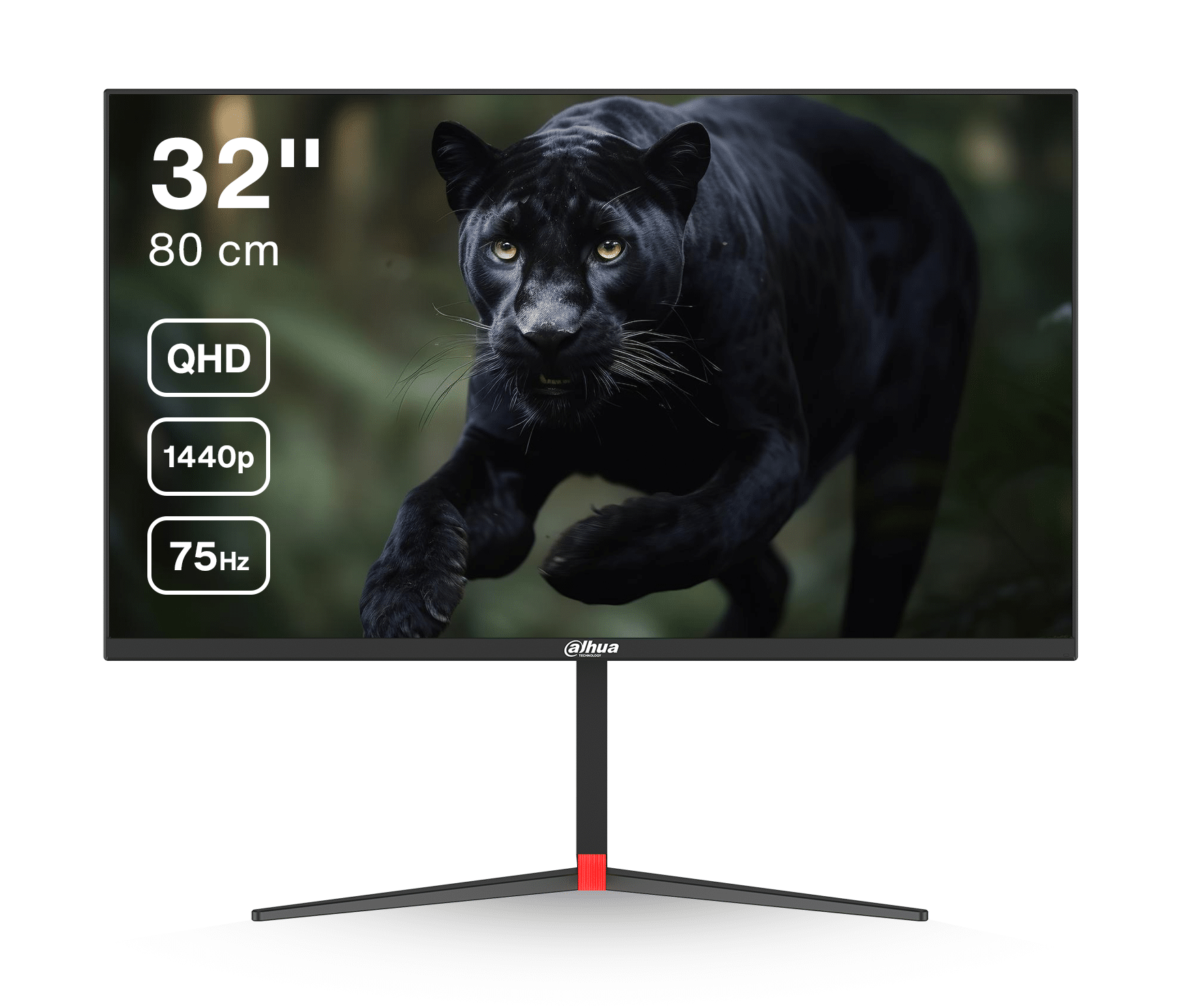 Dahua LM32-P301A - 32 Inch QHD IPS Monitor - 75 Hz - USB-C