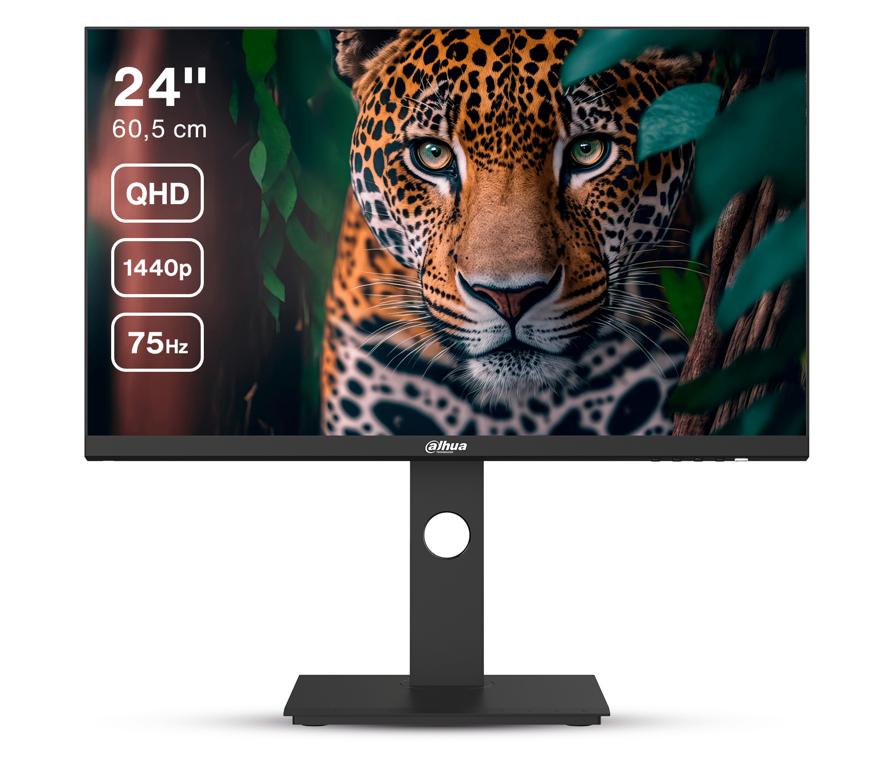 Dahua LM24-P301A - 24 Inch QHD IPS Monitor - 75 Hz - USB-C