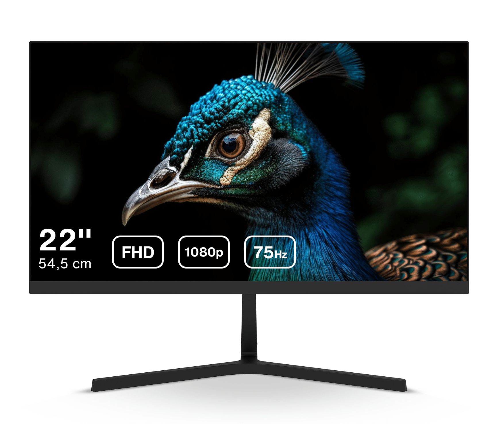 Dahua LM22-B201S - 22 inch Full HD Monitor- 75 Hz